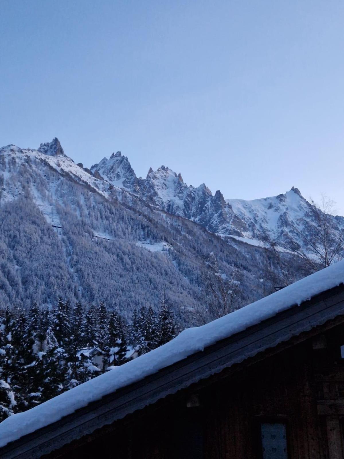 Appartement Ensoleille Aux Tines, Vue Massif Chamonix Eksteriør bilde